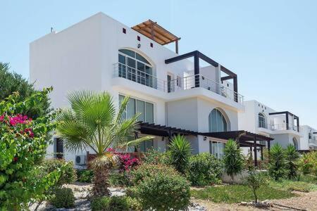 Joya Cyprus Mermaid Penthouse Apartment Agios Amvrosios  Εξωτερικό φωτογραφία